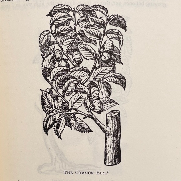Other - 1971 Early British Botanists and Their Gardens Goodyer Tradescant Gardencore